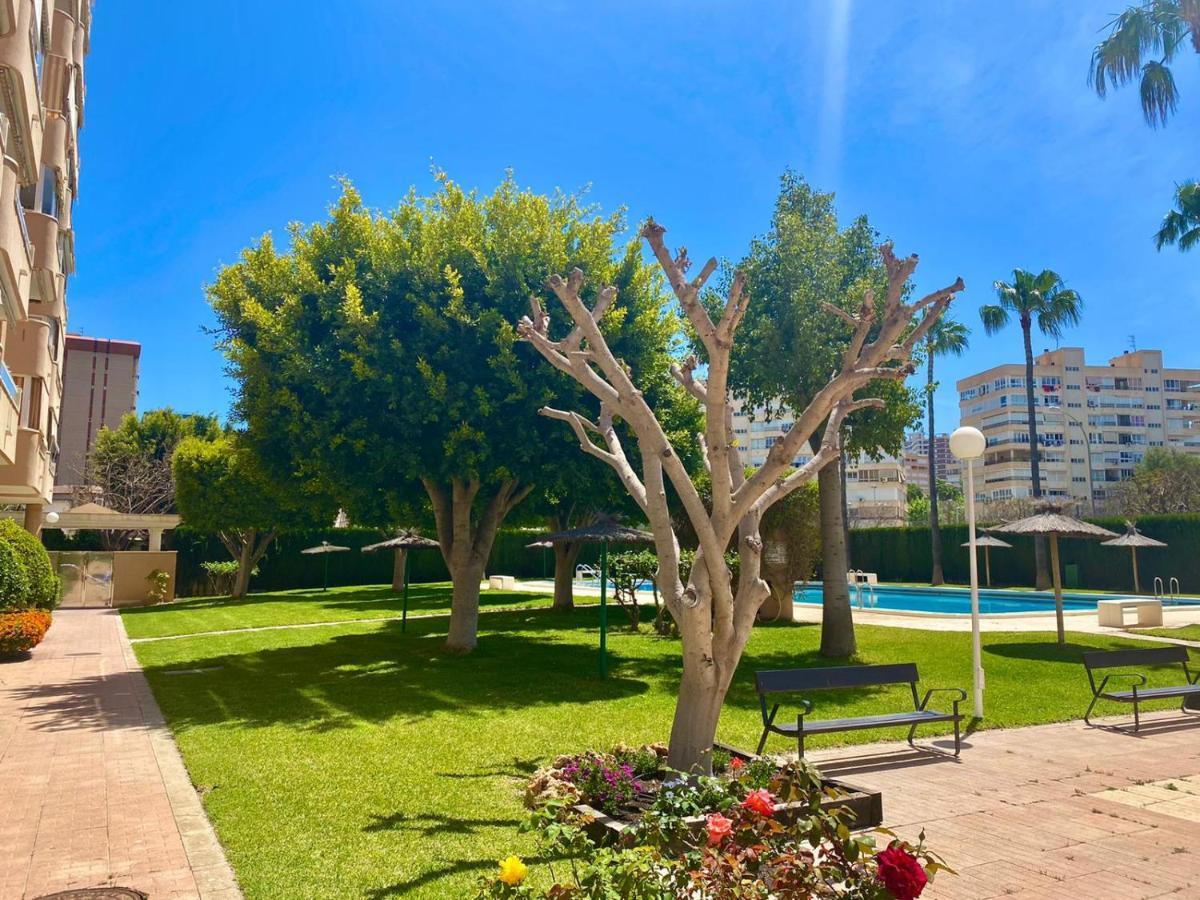Apartamento Atenas Piscina 4 Pax, Inmobiliaria Leo Playa De San Juan アリカンテ エクステリア 写真